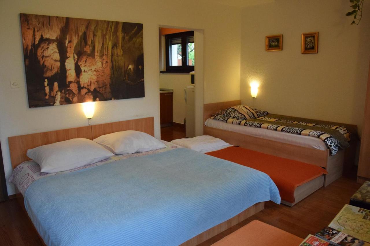 Rooms Ribnikar Postojna Luaran gambar